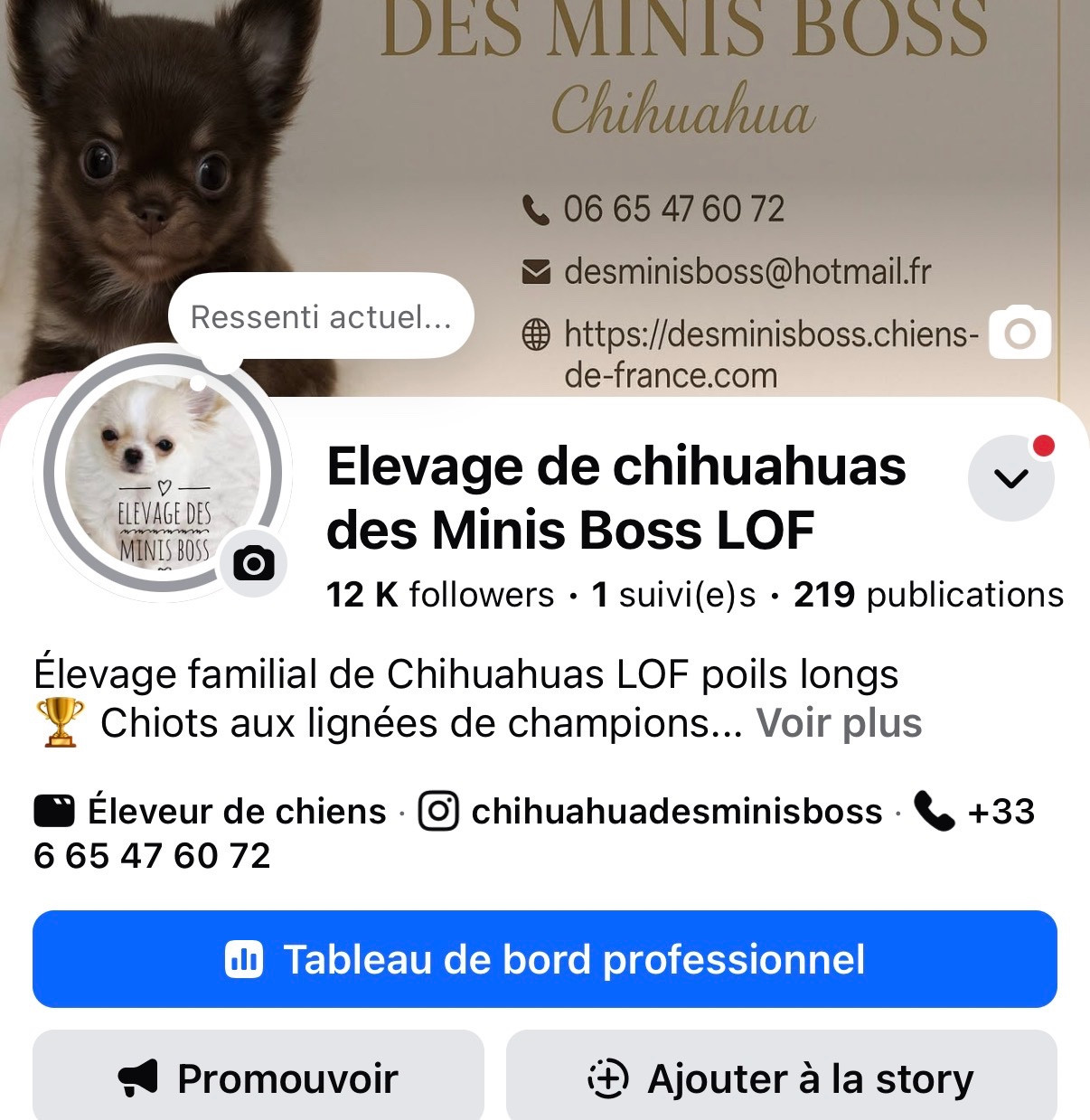 Nos réseaux sociaux