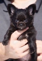 O'NALA des Minis Boss